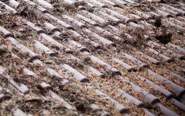 Appleton roof cleaning companies