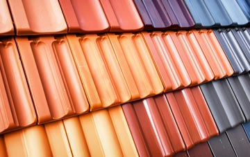 Appleton roof tile costs