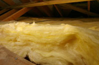 Appleton pitch roof insulation
